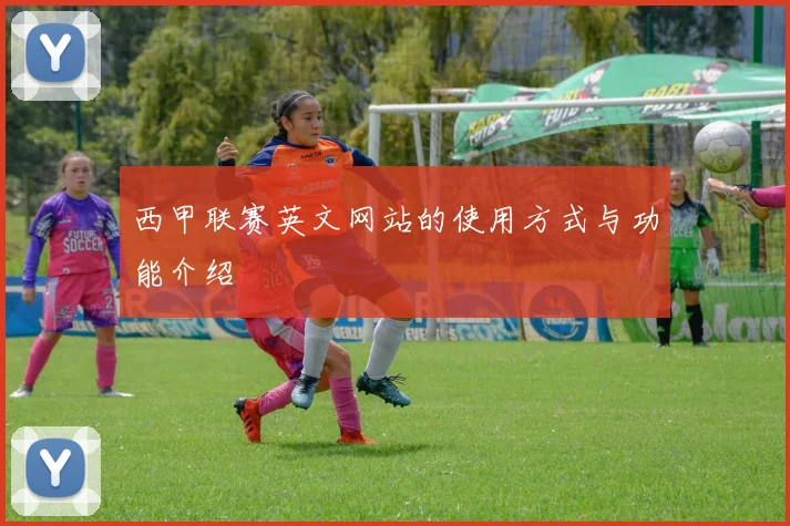 西甲联赛英文网站的使用方式与功能介绍